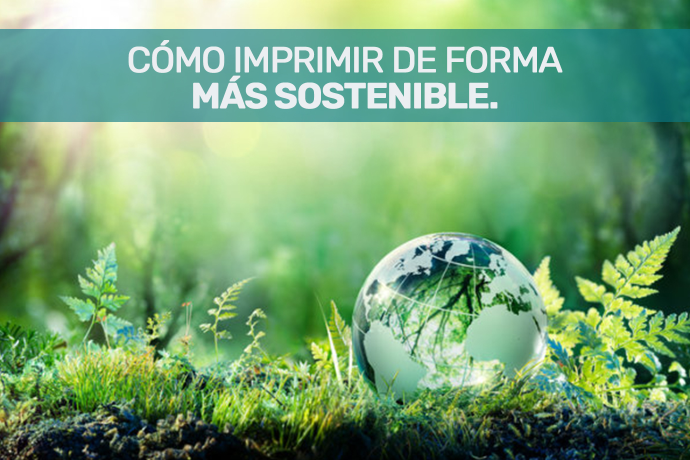 la impresion sostenible cuidando el medio ambiente y ahorrando costos